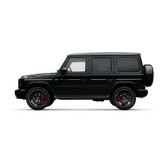 Mercedes-Benz G350 в Делимобиль