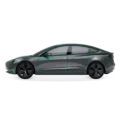 Tesla Model 3 в Делимобиль